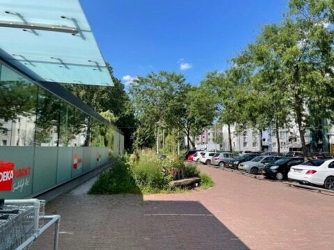 Foto van de Groene Route in Malburgen. Stenen zijn verwijderd en er zijn planten voor in de plaats gekomen.