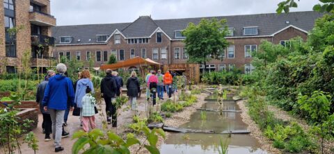Nieuw aangelegd beekje in het Rietgrachtpark